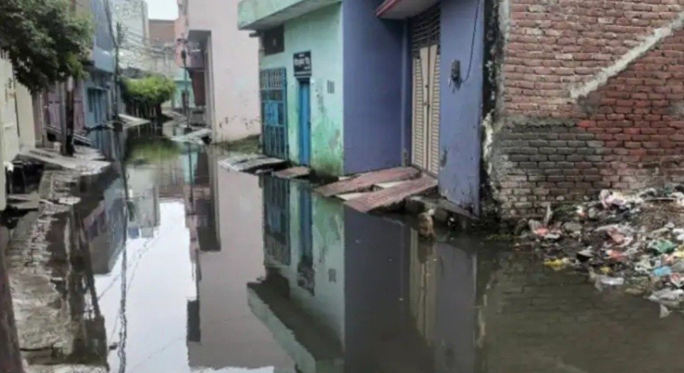 फोटो-2