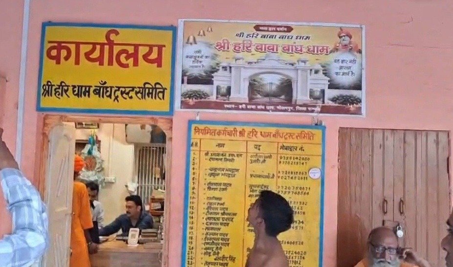 फोटो-3